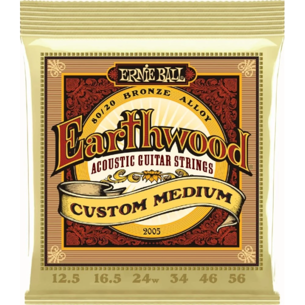 Ernie Ball 2005 Earthwood 80/20 Custom Medium